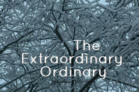 The magic of ordinayr life